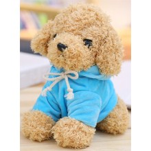 天蓝卫衣泰迪狗