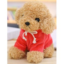 红色卫衣泰迪狗