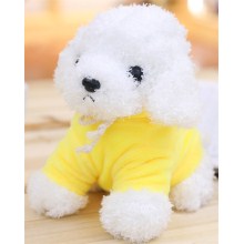 黄色卫衣白色泰迪狗