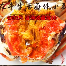 现货阳澄湖大闸蟹鲜活螃蟹特大公蟹4.0两 母蟹3.0两8只包邮礼盒装