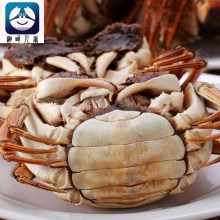 现货阳澄湖大闸蟹鲜活螃蟹特大公蟹4.0两 母蟹3.0两8只包邮礼盒装