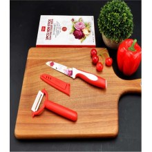 三件套不锈钢烤花刀